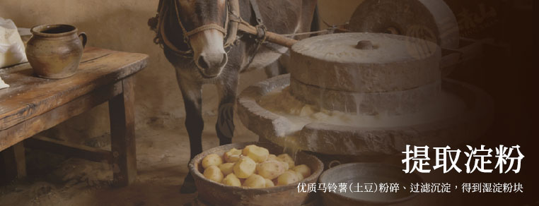 提取淀粉